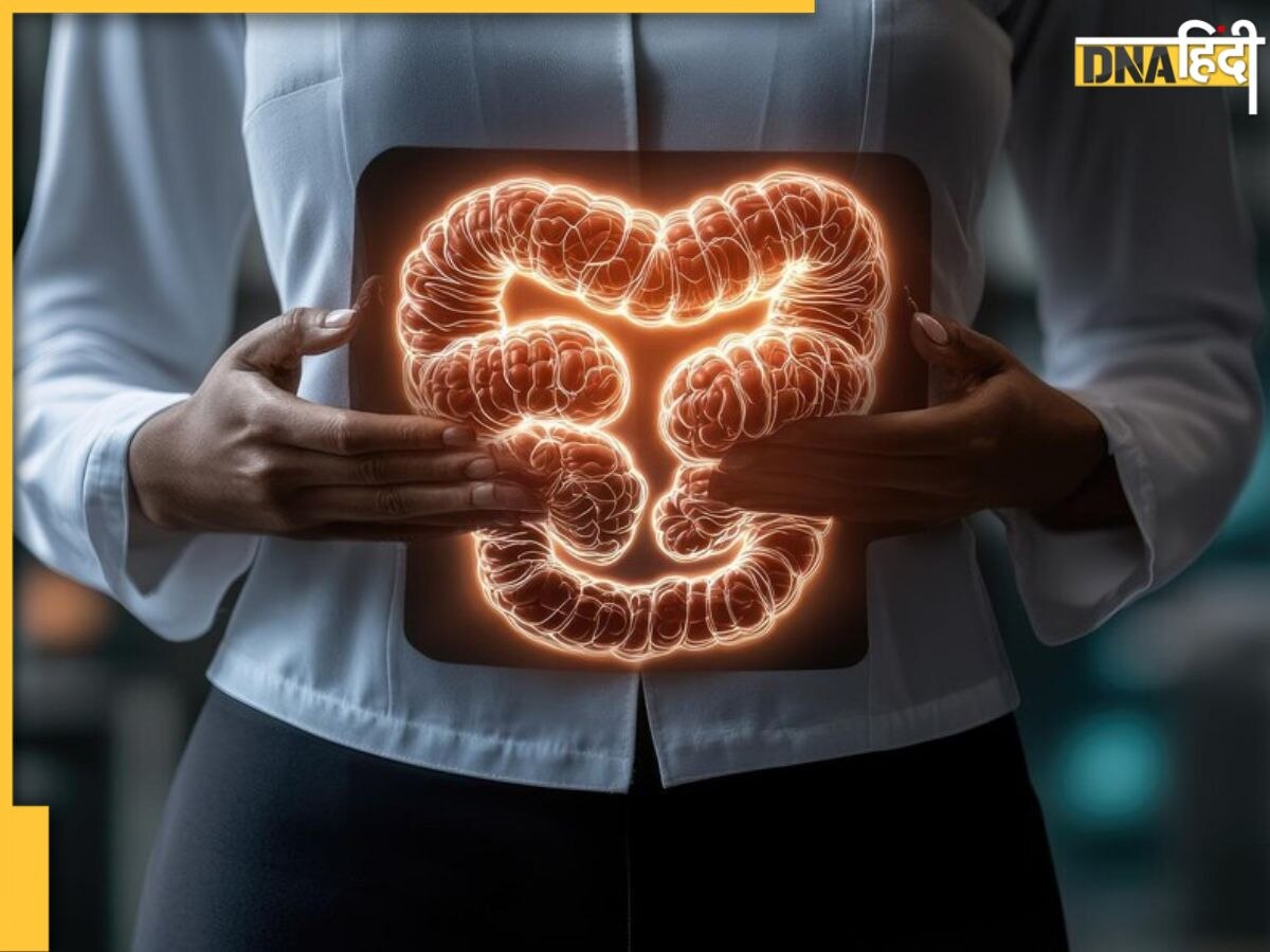 Gut Health के लिए पावरहाउस हैं ये सुपरफूड, हमेशा रहेंगे फिट और हेल्दी