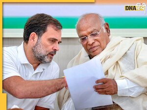 'पार्टी से ऊपर नेताओं का हित हावी रहा', हरियाणा में मिली हार पर बोले राहुल गांधी, फैक्ट फाइंडिंग कमेटी करेगी जांच