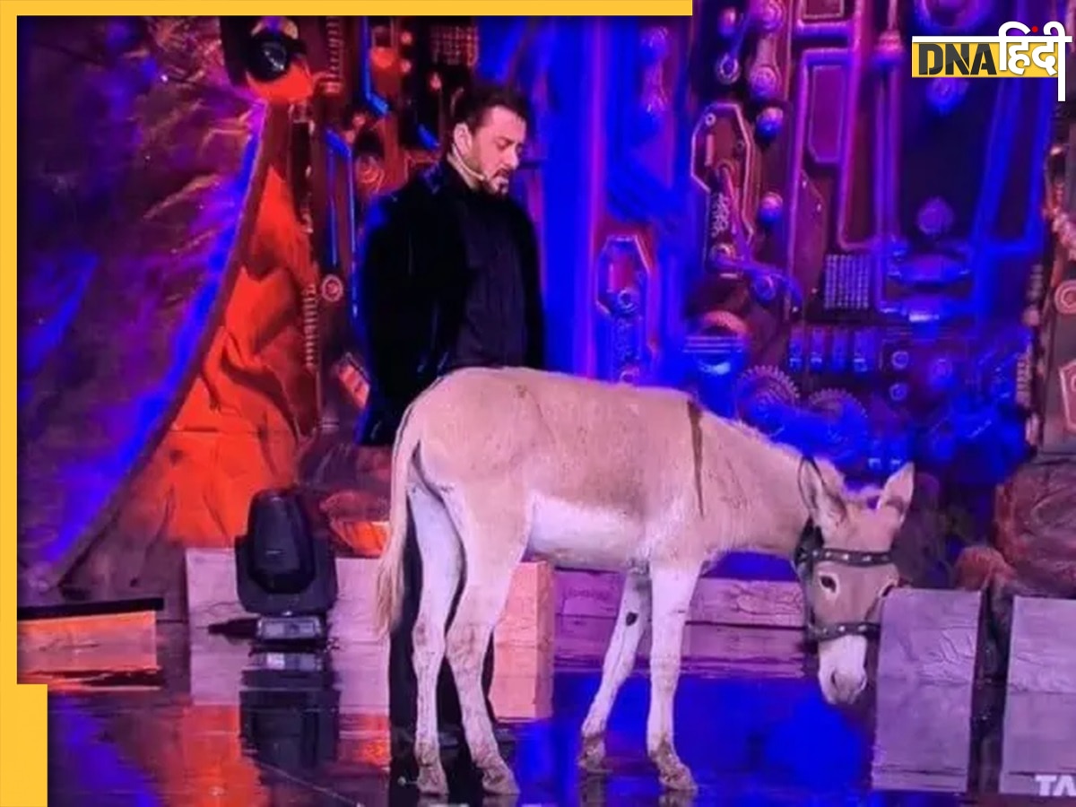 Bigg Boss 18: बिग बॉस के घर में गधा लाकर बुरे फंसे मेकर्स, PETA ने दिया सलमान खान को अल्टीमेटम