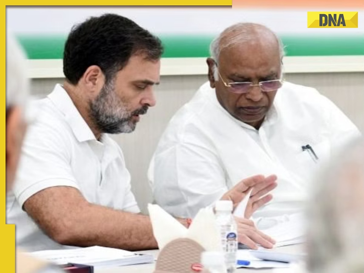 'Congress could have...': Here's what 'angry' Rahul Gandhi told party workers at review meet after Haryana poll debacle 