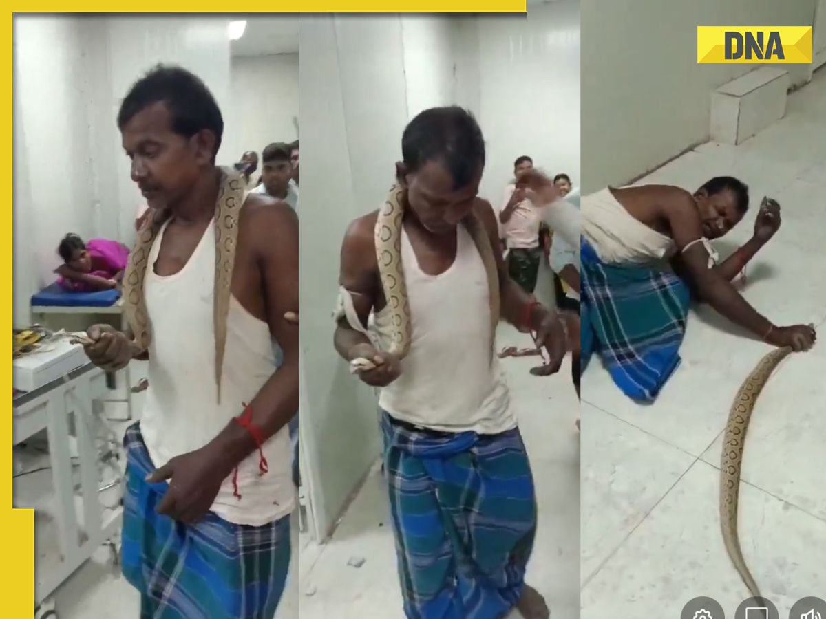 Bihar Man Gets Bitten By Snake, Goes To Hospital With Reptile, Watch ...