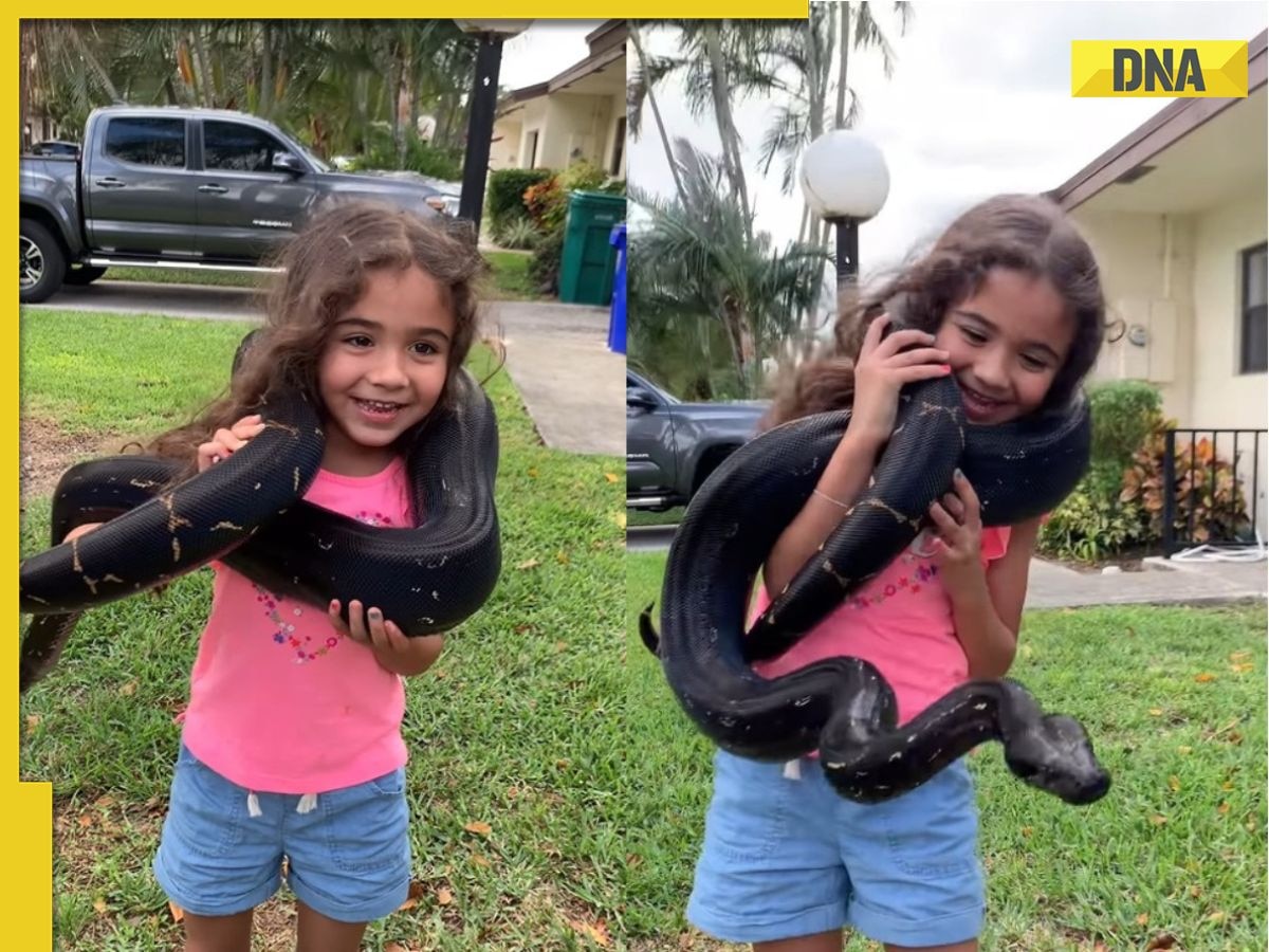 Internet furious over little girl handling giant snake, social media says 'irresponsible parenting', video goes viral