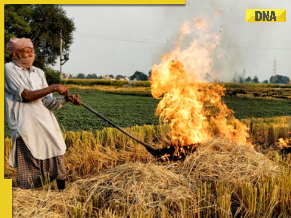 Good news for Delhi: Stubble burning cases have fallen to 2,300 in 2023, says Haryana State Pollution Control Board