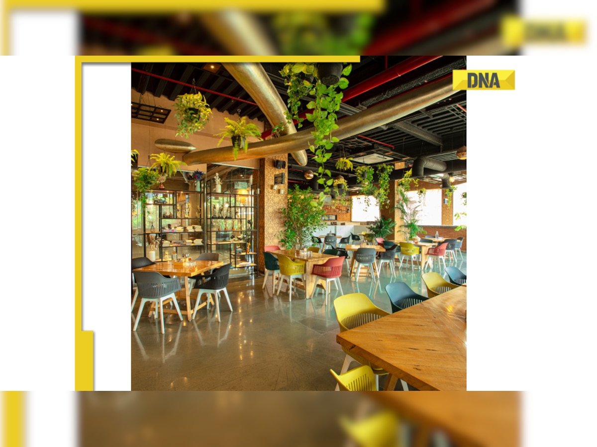 Rupa Group Expands into Hospitality with Innovative Concepts, Enhancing Navi Mumbai’s Dining Experience