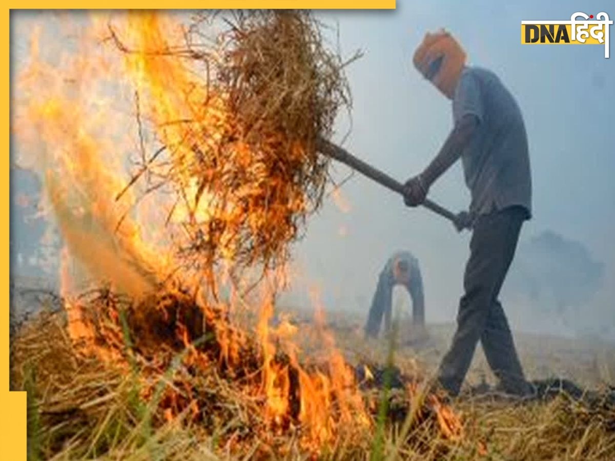 Delhi Pollution: पंजाब से यूपी तक पराली जलाने पर केस, हरियाणा में 20 किसान गिरफ्तार और दर्जनों अधिकारी सस्पेंड, पढ़ें 5 पॉइंट्स