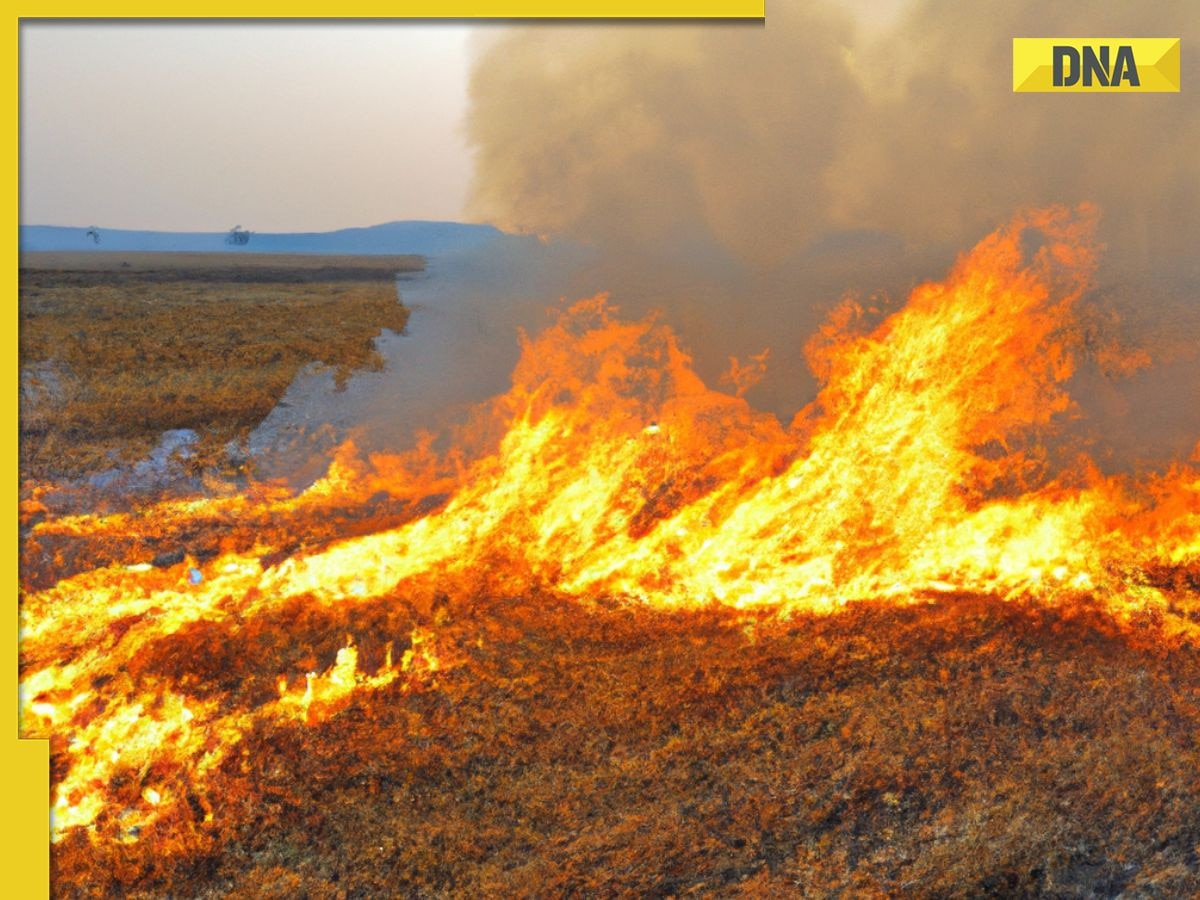 THIS Indian state recorded highest number of stubble-burning cases, it’s not Punjab, Haryana