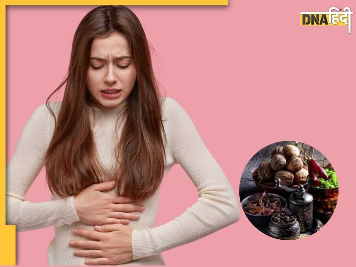 पेट के लिए अमृत है किचन में मौजूद ये हर्ब्स, सभी Stomach Problems की होगी छुट्टी