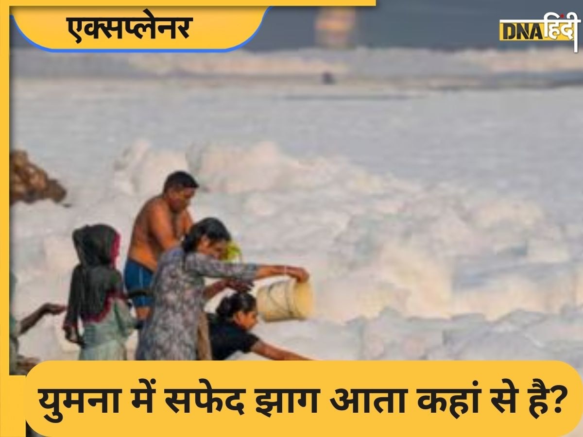 Delhi Yamuna River Pollution: यमुना नदी में दिखने वाला सफेद झाग क्या है, छठ पर्व पर स्नान से पहले जान लें ये बातें