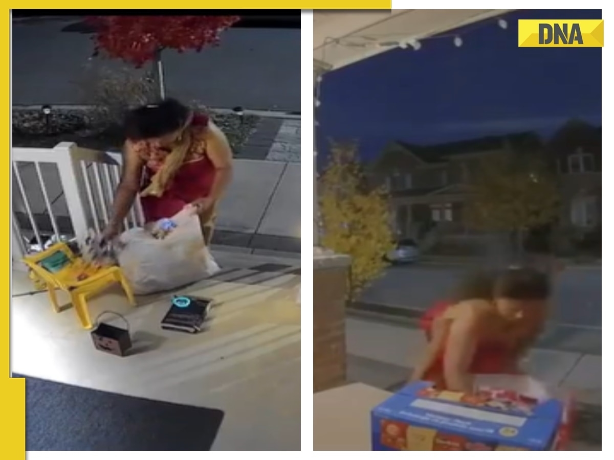 'Trick or steal...': Viral video captures woman dressed in salwar-kameez stealing Halloween candy in Canada, sparks row 