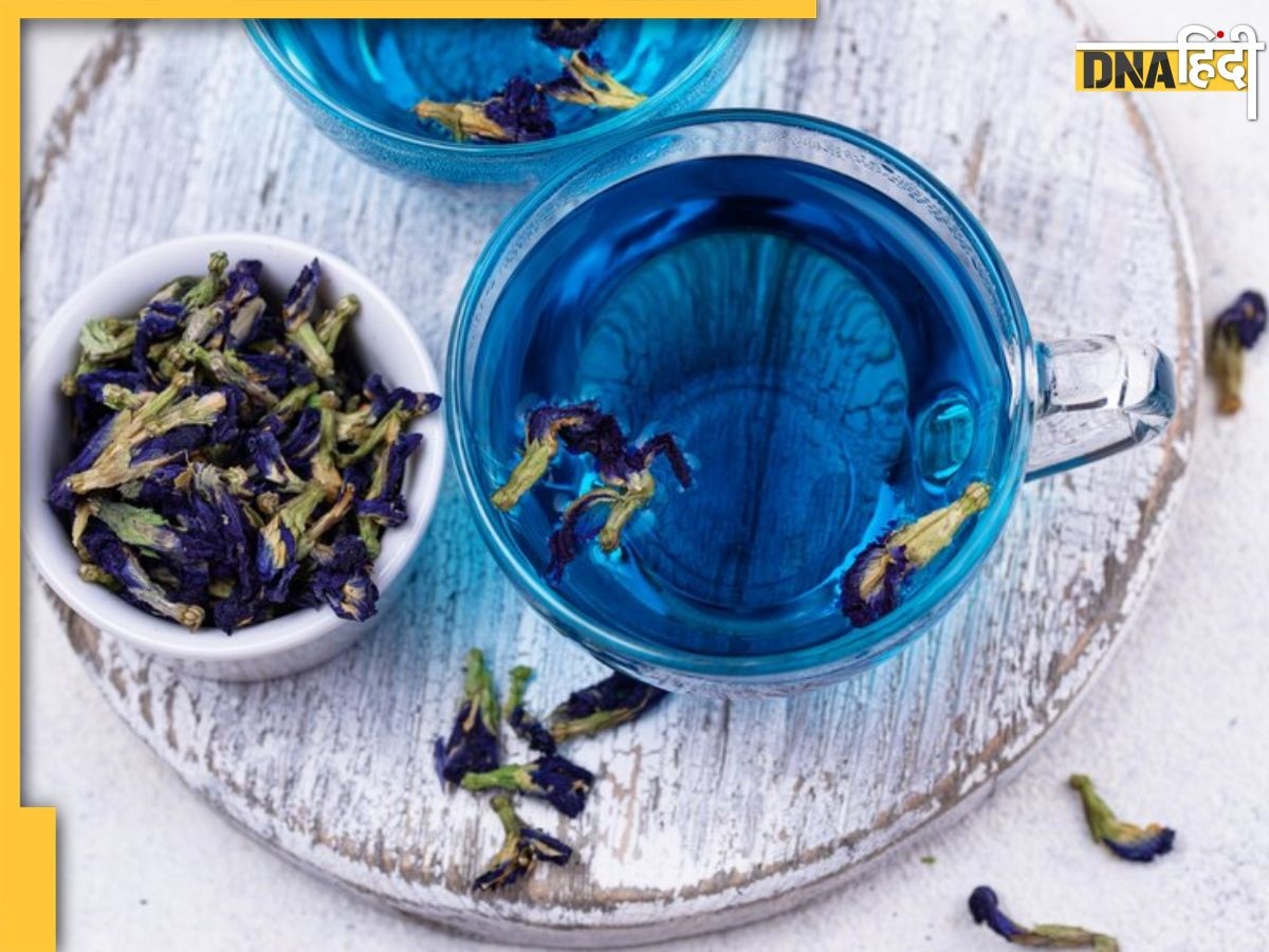 Healthy Tea: सर्दी-खांसी ही नहीं, इन बीमारियां को जड़ से खत्म कर देगी इस स्पेशल फूल से बनी चाय