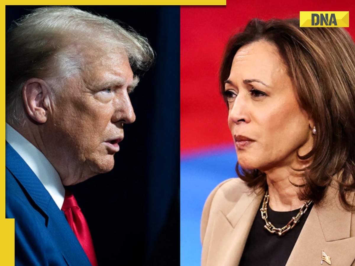 US Election 2024 LIVE Updates:  Kamala Harris wins New York; Donald Trump leads with 230-192 in early trends