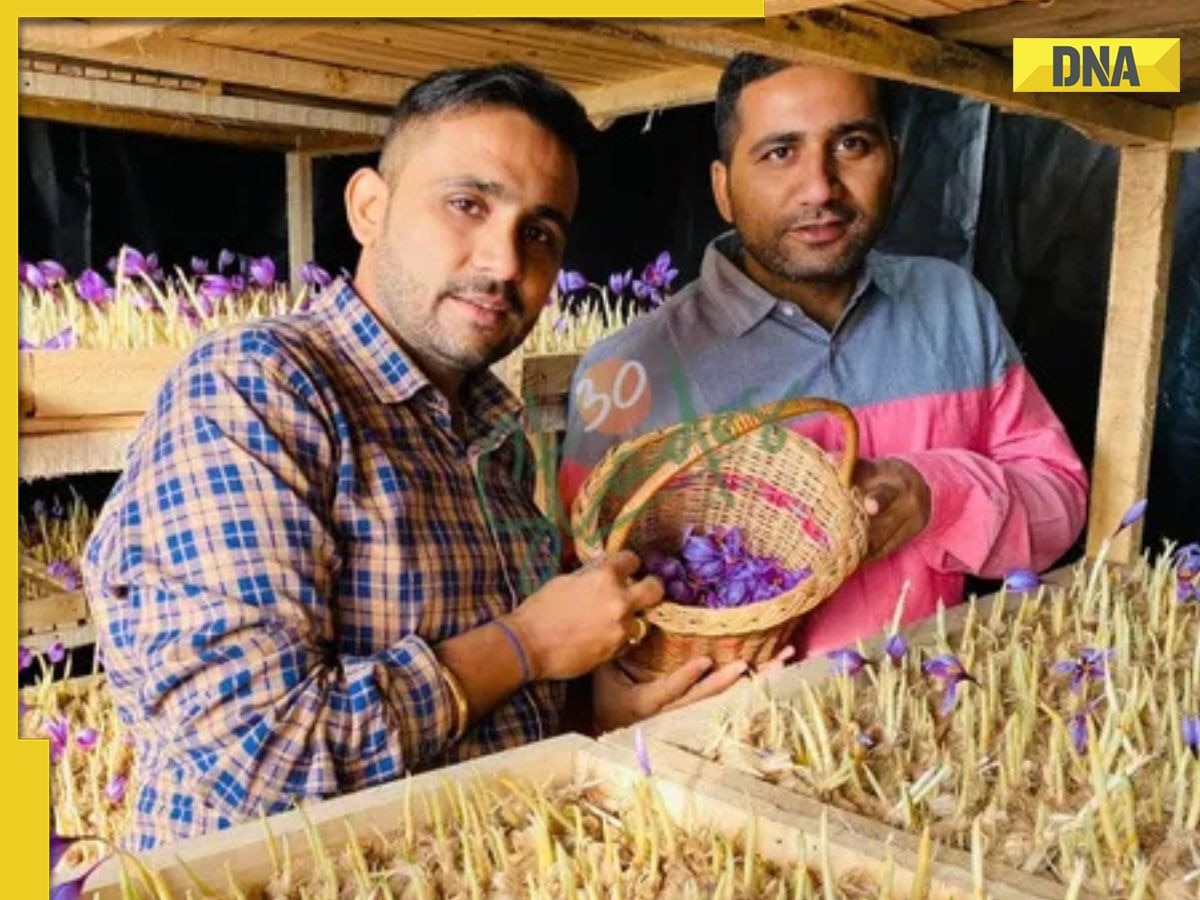 Meet brothers, who are growing world's most expensive spice, selling it for Rs 5 lakh per kg, they are from...