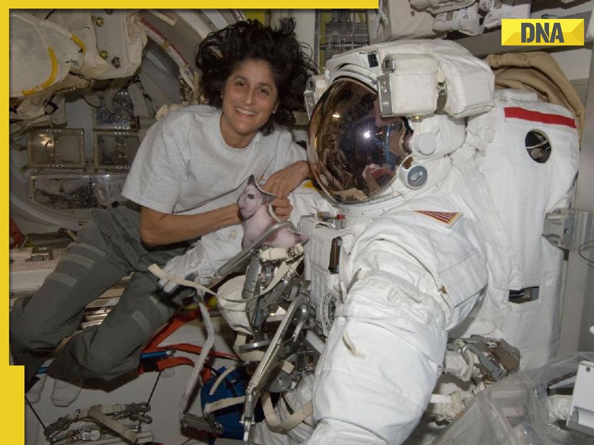 NASA's Sunita Williams witnesses 16 sunrises, sunsets daily in space, here’s how