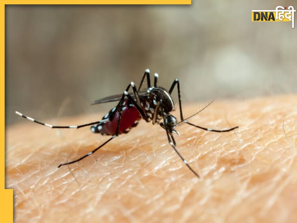 कहर बरपा रहा Dengue! इलाज में देरी से बिगाड़ रही मरीजों की हालत, ये लक्षण दिखते ही कराएं जांच