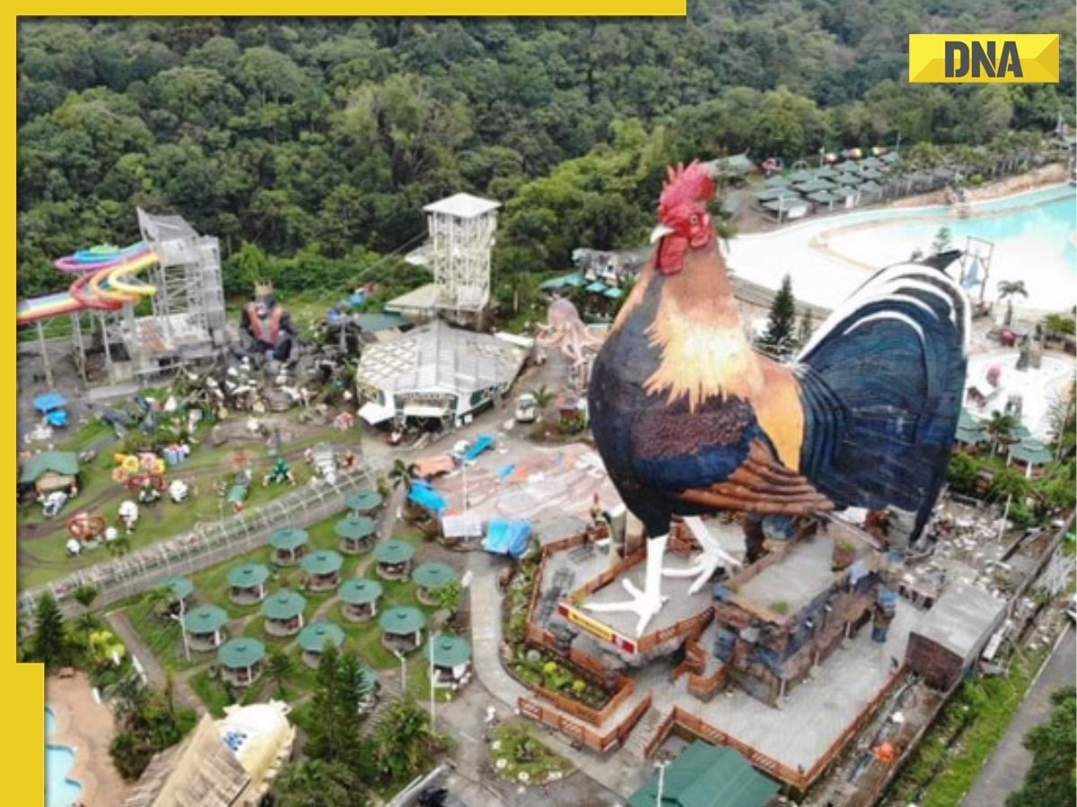 This is world's largest building 'shaped like chicken', has bonita huts, wave pool, is located in...