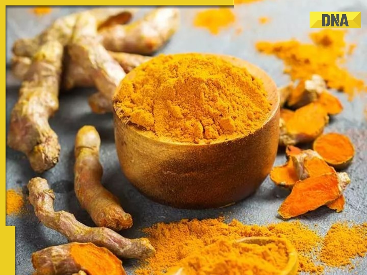 Hidden danger in your spice rack: Turmeric's lead contamination crisis