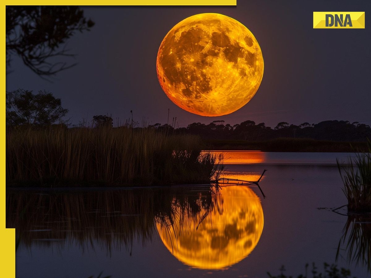 Last Supermoon of 2024: Know when and how to watch it and other details here