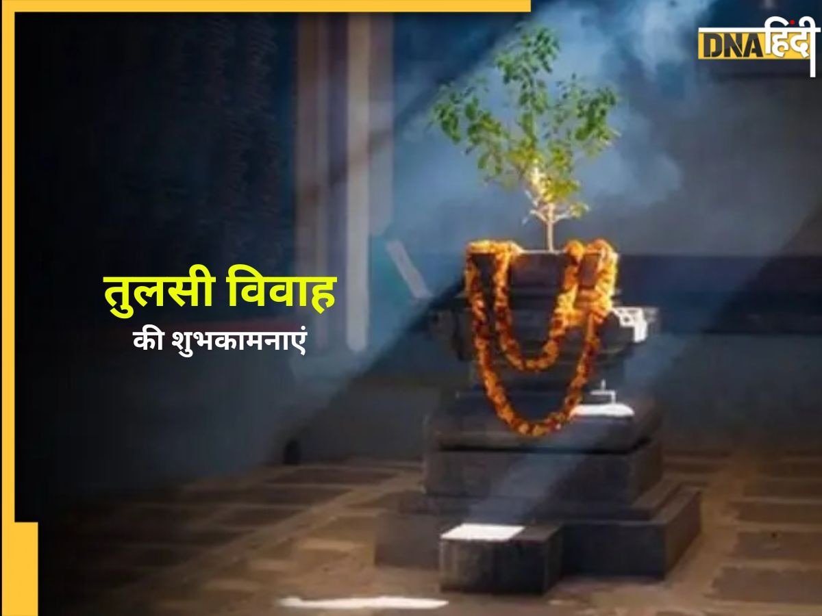 Tulsi Vivah 2024 Wishes: आज तुलसी विवाह के शुभ मौके पर यहां से भेजें शुभकामना संदेश, ऐसे करें अपनों को विश