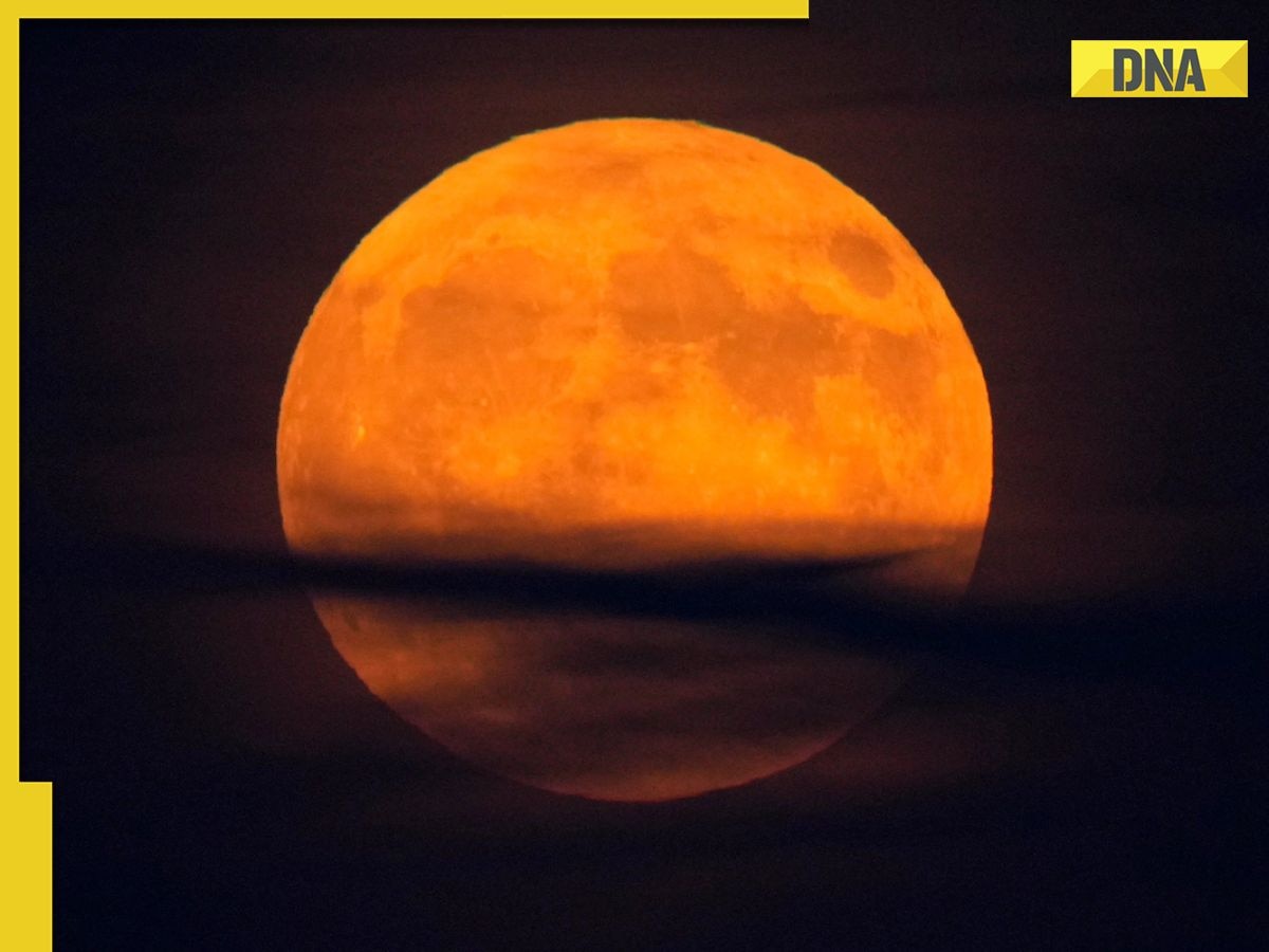 Beaver moon 2024 today: All you need to know about 2024's last supermoon