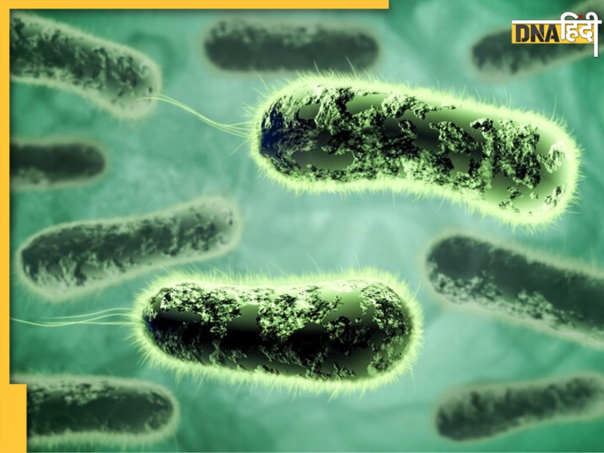 हर साल लाखों लोगों की जान लेता है ये Bacteria, जानें लक्षण और बचाव के उपाय