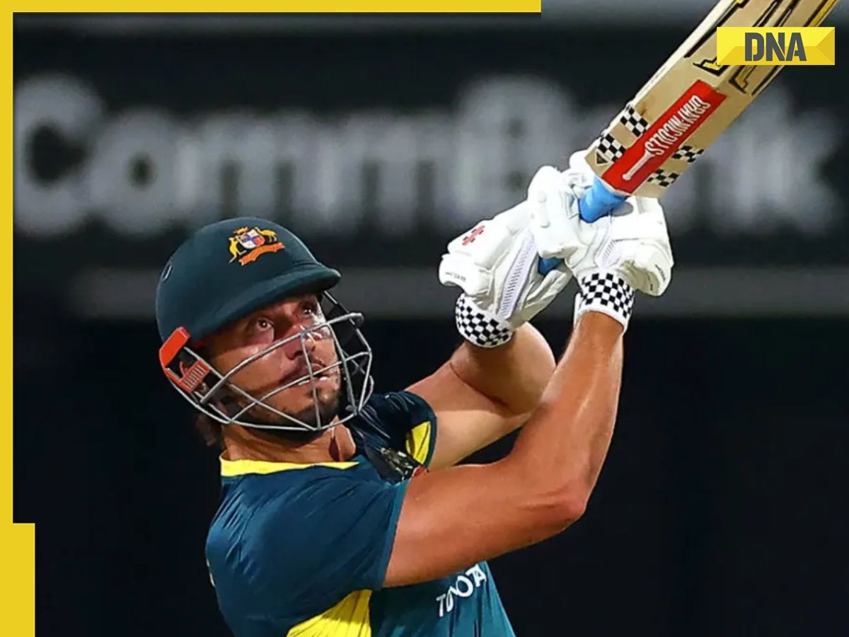 AUS vs PAK, 3rd T20I: Marcus Stoinis shines as Australia beat Pakistan by 7 wickets to win series 3-0