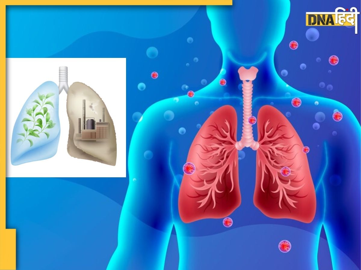 Lung Detox: दिल्ली में AQI-500 पार, जहरीली हवा के बीच फेफड़ों में जमा गंदगी ऐसे करें साफ