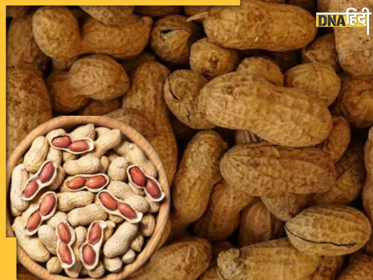 Peanuts Benefits: टाइमपास के लिए खाते हैं मूंगफली तो जान लें फायदे भी, स्वाद के साथ है सेहत का खजाना