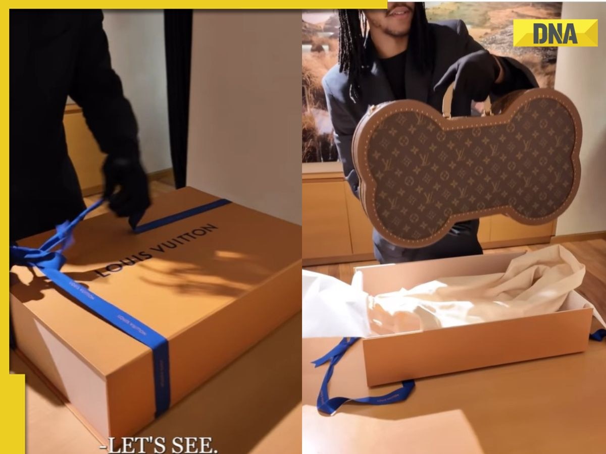 Viral video: Businessman's Rs 14 lakh Louis Vuitton suitcase for dog draws ire, internet says 'ridiculous'
