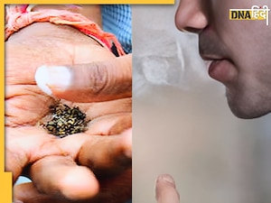 Tobacco Disease: सिर्फ कैंसर नहीं, कई जानलेवा बीमारियों को दावत देता है तंबाकू का सेवन, जानें