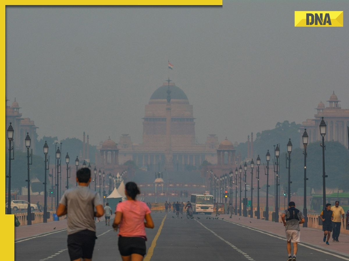 Delhi weather: November turns out to be warmest in past 5 years, temperature likely to dip from...