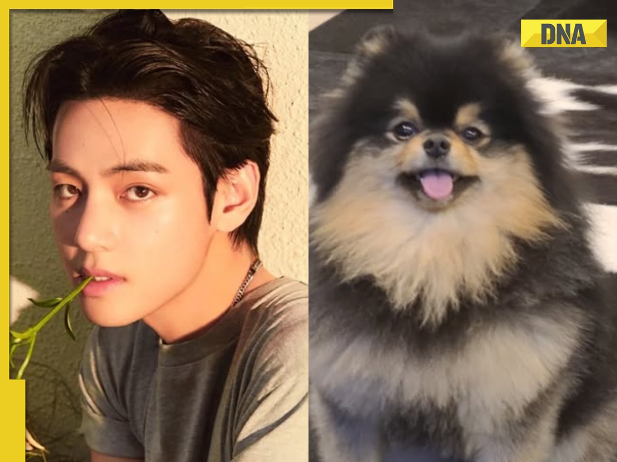 BTS star V’s beloved dog Yeontan dies, Kim Taehyung pens a heartfelt note