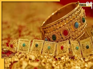 Rajasthan News: बिजनेसमैन के घर से निकला 50 किलो सोना, 4 करोड़ कैश, अकूत दौलत देख अधिकारी भी हैरान 