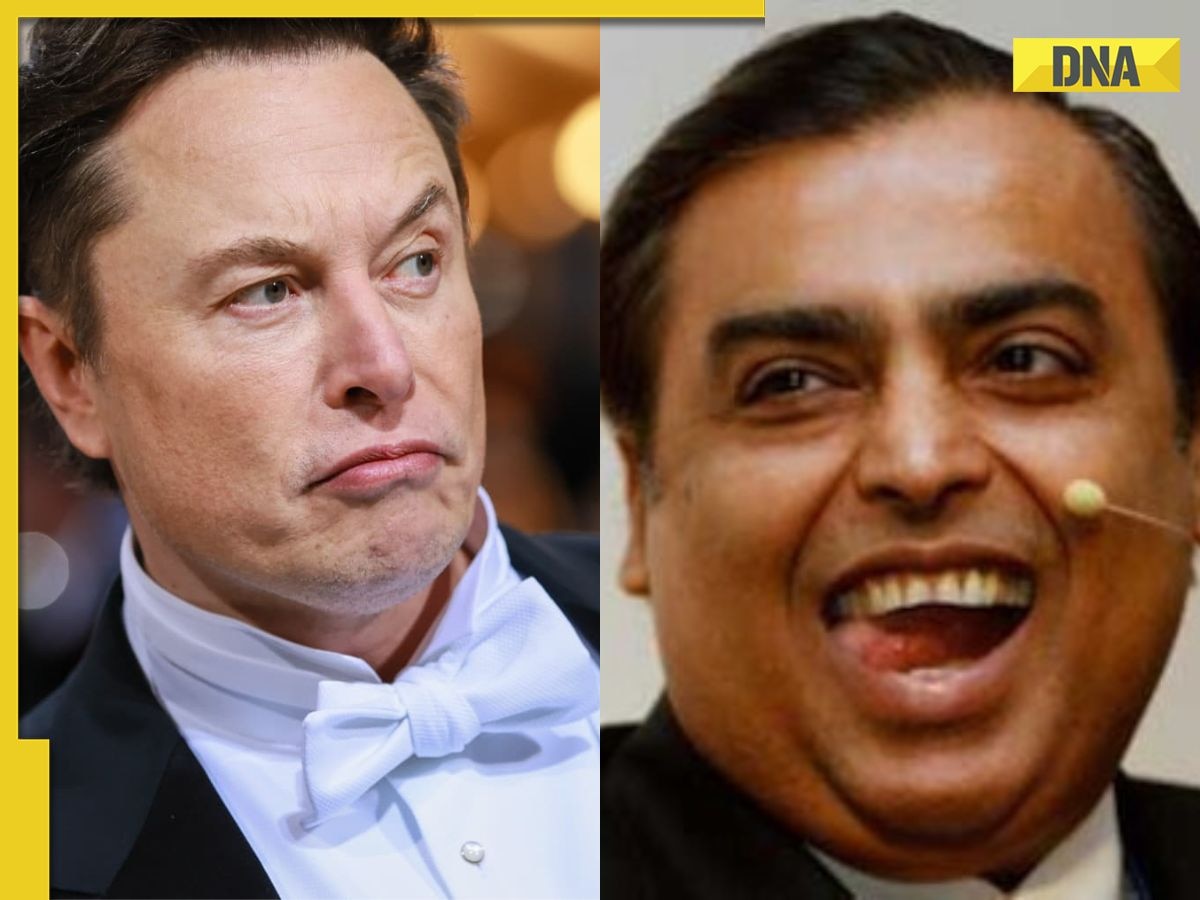 World's richest man Elon Musk has lost Rs 343770930174, Meta CEO Mark Zuckerberg, Mukesh Ambani, Gautam Adani face...