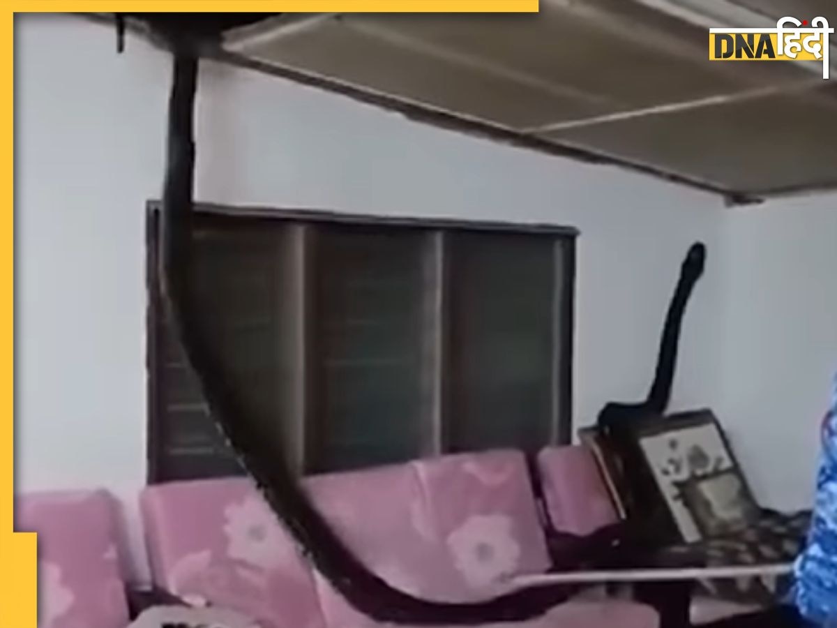 Viral: जब छत से लटका दिखा 16 फीट का अजगर, Video देखने वालों के उड़ गए होश