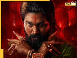 Pushpa 2 Box office collection: पुष्पा राज का भौकाल, 2 दिनों में सिर्फ हिंदी में कर डाली इतनी कमाई