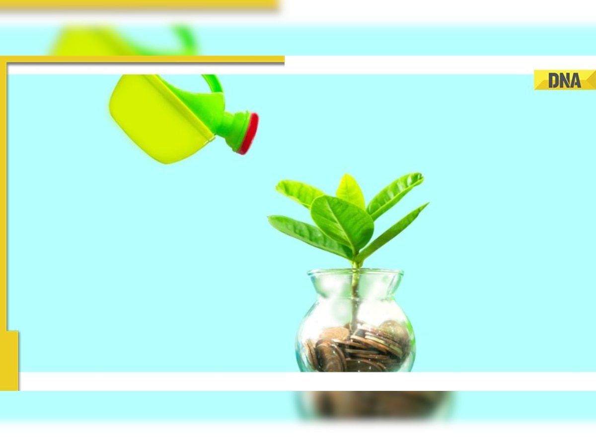 Is your Savings Account maximising growth? Discover how IDFC FIRST bank does it 