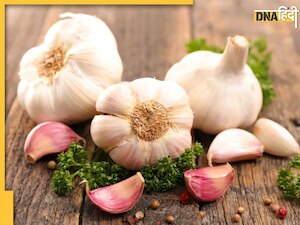 नसों में जमा Bad Cholesterol का काल बनेगा लहसुन, डायबिटीज में भी दिखाएगा असर, ऐसे खाएं