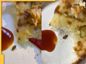 Viral: 200 रुपये का खरीदा ब्रेड पकौड़ा, खाया तो कांप गई रूह, वायरल हो रही पोस्ट  