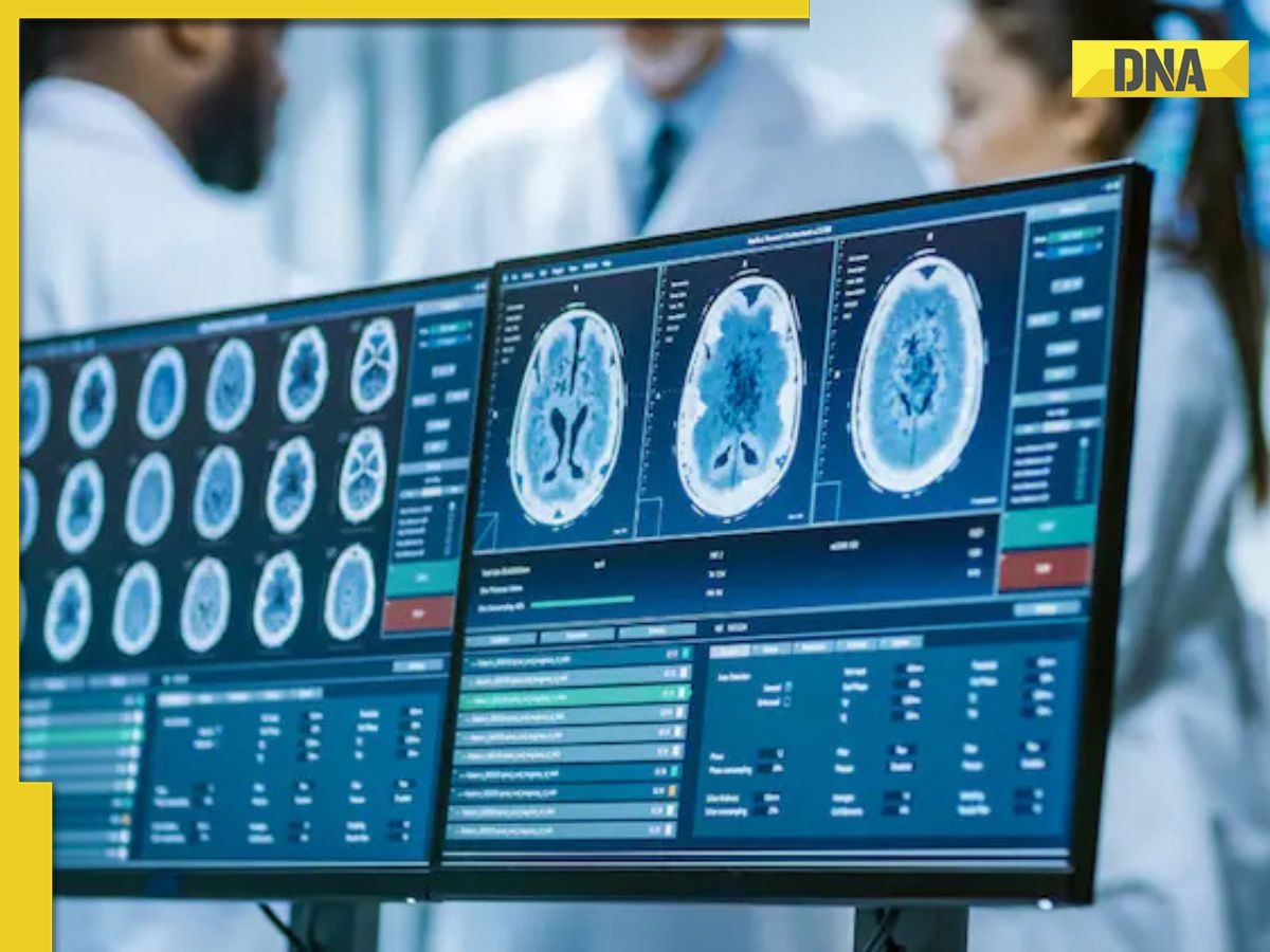 Groundbreaking discovery in memory storage: Scientists finally opening up this black box of human brain