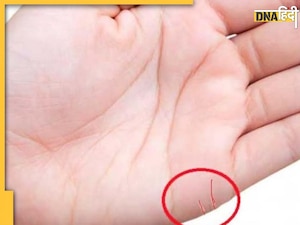 Marriage Line In Palm: हथेलियों की इस रेखा से जानें कैसी रहेगी लव लाइफ, अच्छे जीवनसाथी से लेकर तलाक तक का देती है संकेत