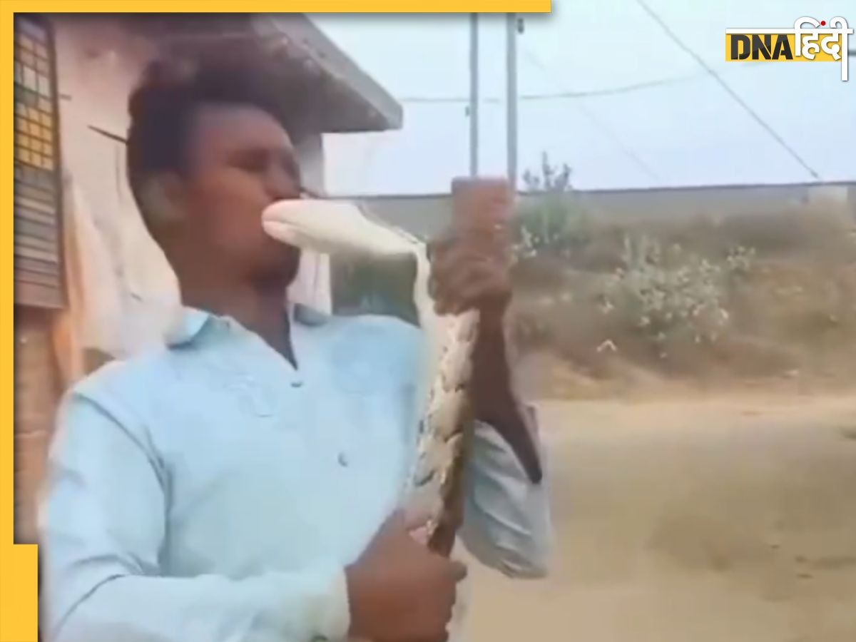 Viral Video: जब अजगर को किस करने चला शख्स, फिर जो हुआ देखकर कांप उठेगी आत्मा