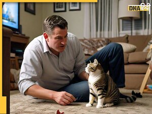 Bengaluru News: 'मेरे पति मुझसे प्यार नहीं करते', बिल्ली की ज्यादा देखभाल करने पर पत्नी ने किया केस, कोर्ट ने दिया ये जवाब 