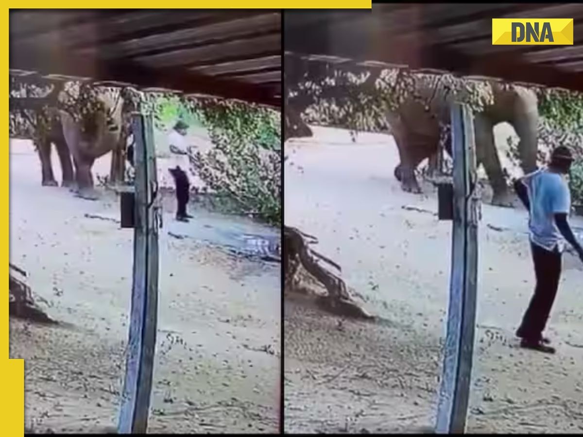 Viral Video: Elephant gently signals man to step aside, internet reacts; watch here