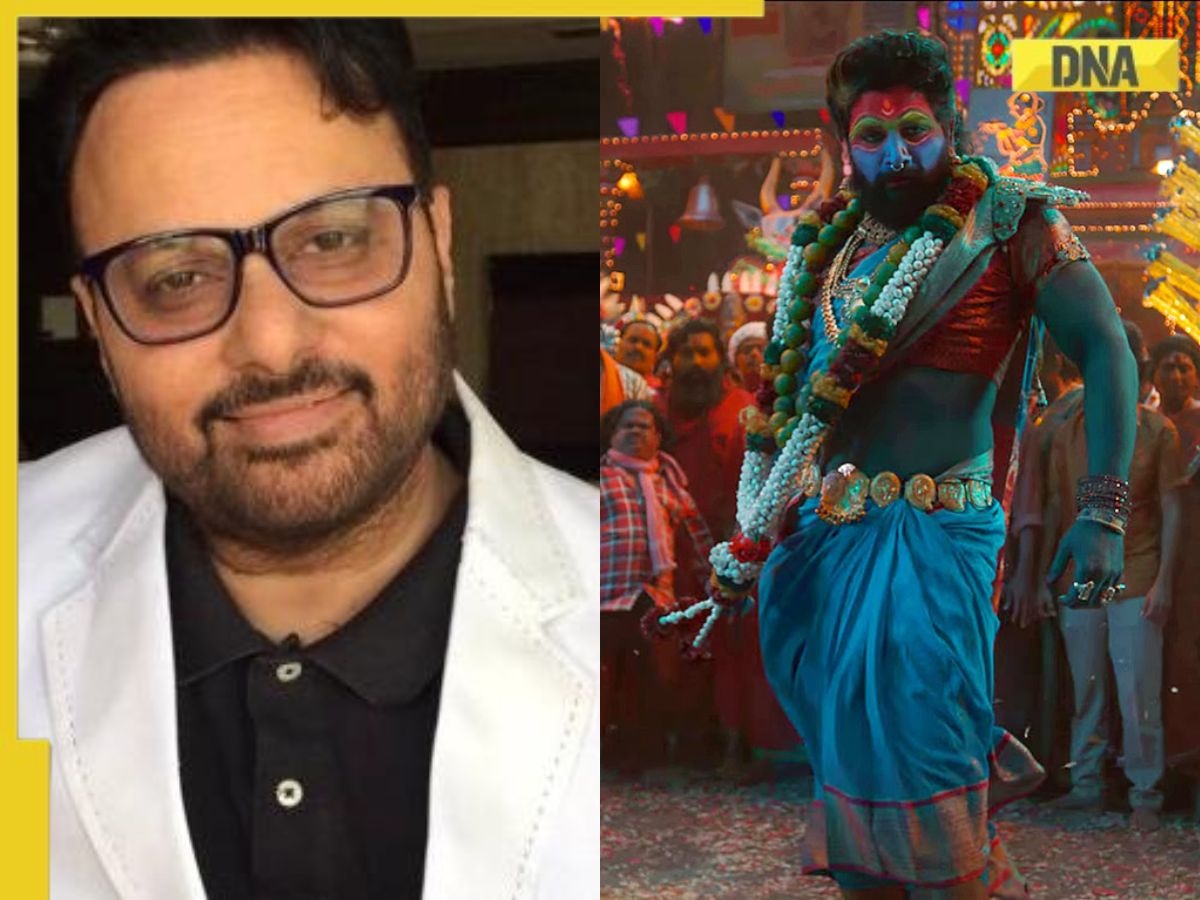 Anil Sharma on Vanvaas, Pushpa 2's success, what Bollywood should learn from Allu Arjun's film | Exclusive 