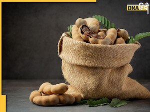 कोलेस्ट्रॉल से लेकर कब्ज जैसी समस्याओं में बेहद फायदेमंद है इमली, जानें कैसे करें इस्तेमाल