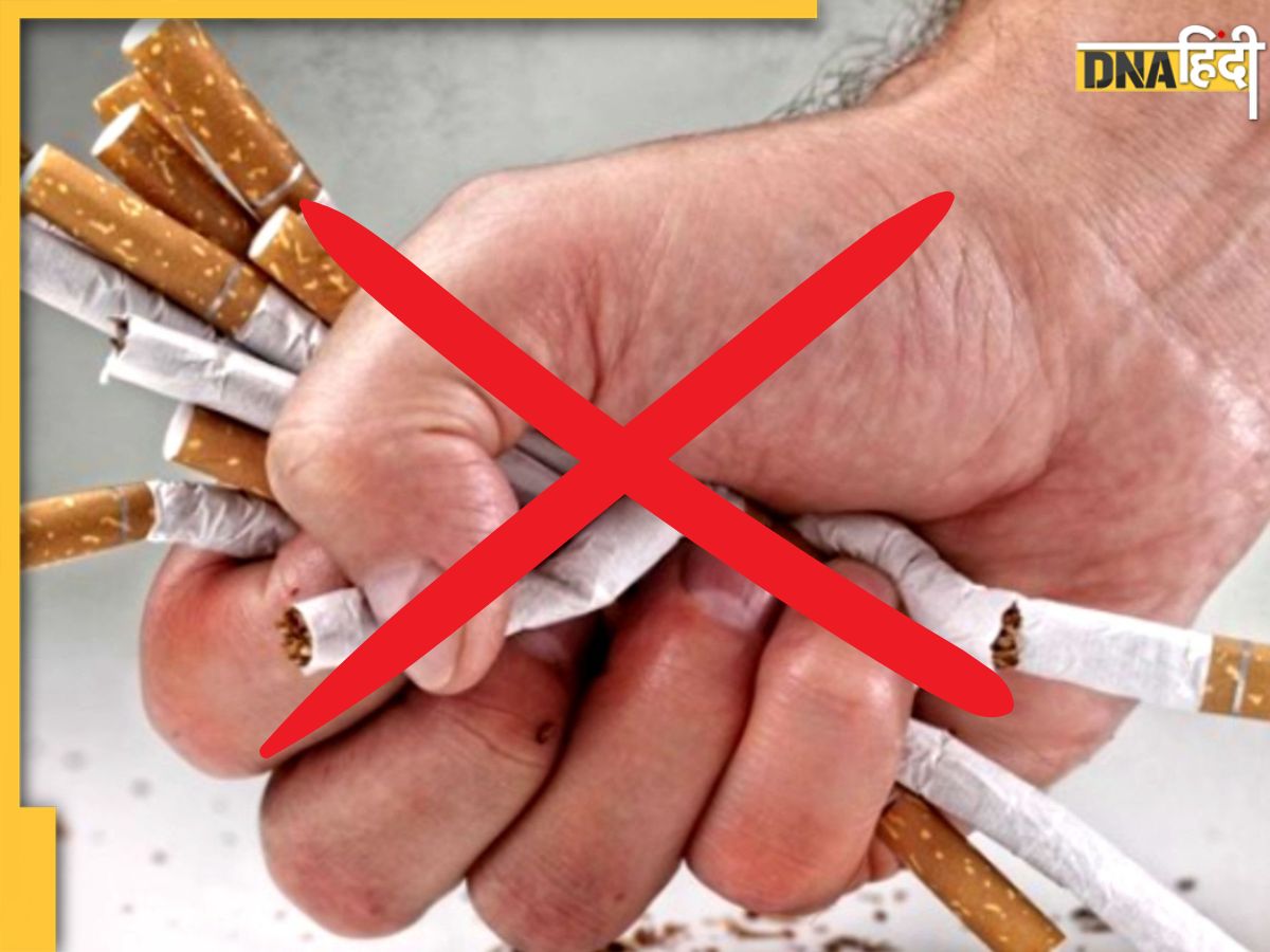 benson and hedges tobacco Benson & Hedges Gold Cigarettes benson and hedges tobacco Benson & Hedges Gold Cigarettes