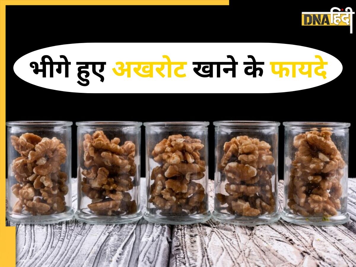Soaked Walnuts: तेज दिमाग, दमकती त्वचा... रात में भिगोकर सुबह अखरोट खाने के ये हैं गजब के फायदे