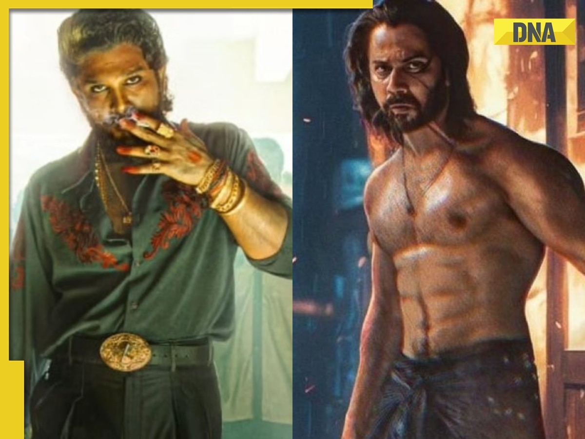 Baby John vs Pushpa 2 box  office battle: Varun Dhawan or Allu Arjun, who won on Christmas?