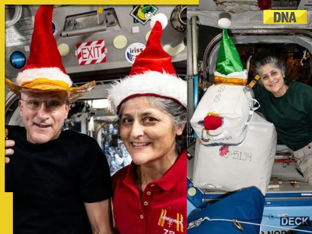 'You brought...': Astronaut Sunita Williams wears Santa hat and celebrates Christmas in space, video sparks debate