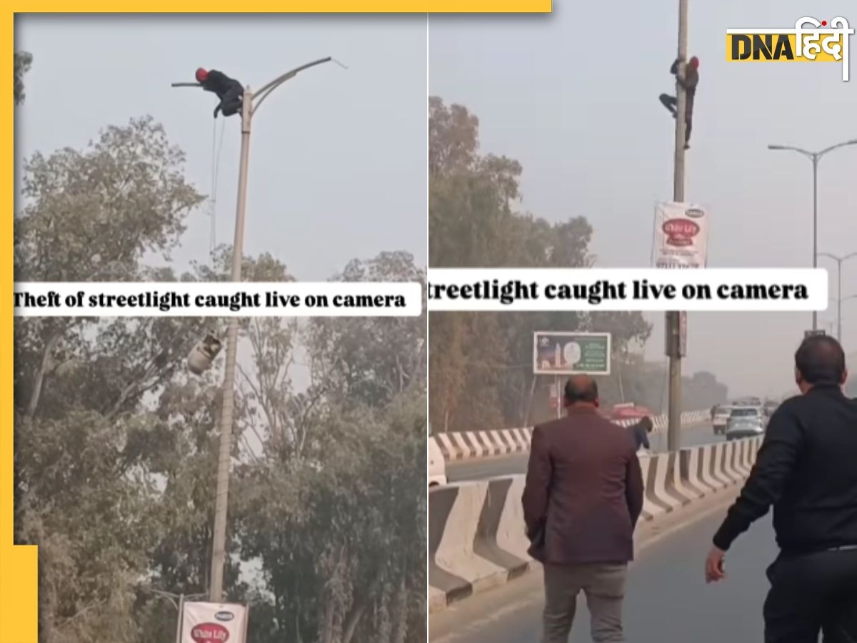 Viral: हाईवे पर खंभे से दिनदहाड़े तार चुराने लगा शख्स, दिल्ली के Video ने इंटरनेट पर मचाया बवाल!